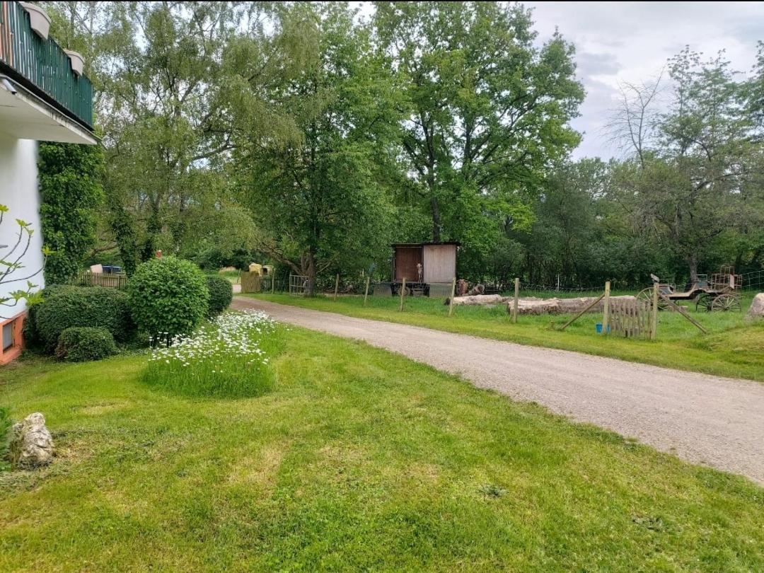 Orangerie Zimmer Gehaichnishof 7Born Maring-Noviand Exterior foto